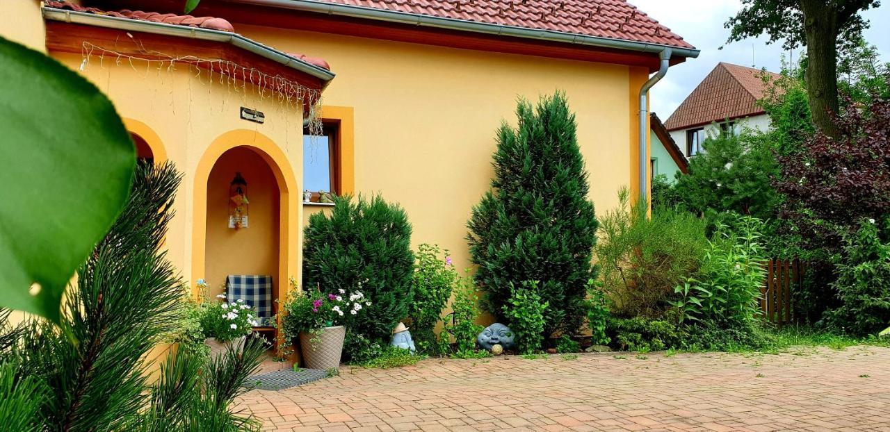 Penzion U Sýkorů Třeboň Exterior foto